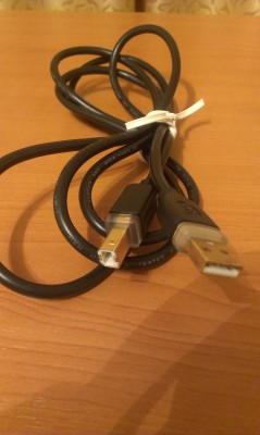 IMAG0228.jpg