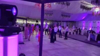 IMG_20190817_235147.jpg